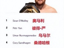 宋亚东在UFC最新排名攀升至第六位！